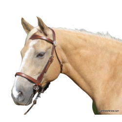 LightRider Leather Western Bitless Bridle